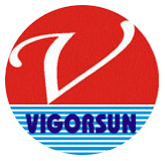 VIGORSUN Group
